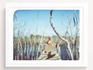 Through The Mangroves | Photography by She Hit Pause. Item composed of paper
