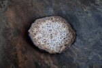Wabi-sabi lava rock bowl | Dinnerware by Laima Ceramics. Item composed of stoneware