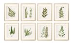 Fern Print Set, Fern Prints set of 6 or 8 fern prints | Prints by Capricorn Press. Item composed of paper in boho or country & farmhouse style