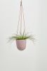 Terrazzo Hanging Planter | Vases & Vessels by Capra Designs