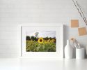 Photograph • Sunflower Fields, Nature, Flowers, Landscape | Photography by Honeycomb. Item made of metal with paper