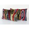 Silk Ikat Velvet Pillow, Set of Two Silk Ikat Lumbar Cushion | Pillows by Vintage Pillows Store