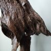 Driftwood Art Sculpture "Stallion" | Sculptures by Sculptured By Nature  By John Walker. Item made of wood works with minimalism style