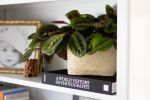 Natural Storage Basket |Stripe Noir | Storage by NEEPA HUT