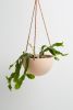 Block Color Dome Hanging Planter | Vases & Vessels by Capra Designs