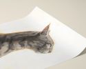 Piper | Prints by The Ugly Cat Studio