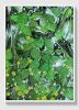 Leaves of Light – Original Green Abstract Painting on Canvas | Oil And Acrylic Painting in Paintings by Dario Moschetta
