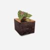 Diamond Self-Watering, Wall-Mounted Planter | Vases & Vessels by Formr. Item composed of wood