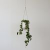 Portico Planter | Vases & Vessels by Misewell