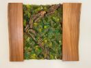 Moss Wall Artwork | Ornament in Decorative Objects by Carlberg Design. Item made of wood compatible with minimalism style
