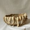 Sea Urchin Bowl XLarge | Decorative Bowl in Decorative Objects by AA Ceramics & Ligthing. Item made of stone