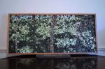 A Pointillism Forest | Wall Sculpture in Wall Hangings by StainsAndGrains. Item made of wood works with contemporary & industrial style