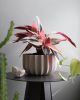 Wrap Planter - 4 sizes | Vases & Vessels by Misewell