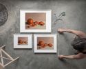Clementines Still Life Art Print, Kitchen Citrus Fruit Wall Art, Orange Painting | Prints by The Ugly Cat Studio