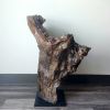 Driftwood Sculpture Art Object "Wood Land" | Sculptures by Sculptured By Nature  By John Walker. Item made of wood works with minimalism style