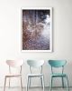 Contemporary natural decor, 'Autumn Detritus' photograph | Photography by PappasBland. Item composed of paper in contemporary or country & farmhouse style