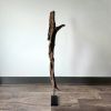 Driftwood Sculpture "Mirthful Maguari" | Sculptures by Sculptured By Nature  By John Walker. Item composed of wood in minimalism style