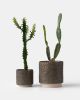 Kolo (Gloopy) Planter - 2 sizes | Vases & Vessels by Misewell