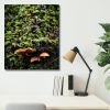 Photograph • Take Cover, Mushrooms, Fungi, PNW, Macro | Photography by Honeycomb. Item composed of metal and paper in boho style