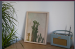 Cactus glow | Photography by Louise O'Gorman