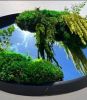 Botanical Mirror | Decorative Objects by Moss Art Installations