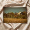 Abandoned Barn Colorized Landscape Loose / Unframed Wall Art | Photography by PIPA Designs