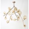 Alan Mizrahi IQ20570 Wineroy | Chandeliers by Alan Mizrahi Lighting Design
