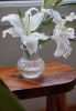 Medium Optic Vase | Vases & Vessels by Tucker Glass and Design`