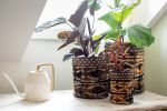 Wild Silk Shibori Basket - Stick Pattern - Onyx & Natural | Storage Basket in Storage by Tanana Madagascar. Item composed of cotton