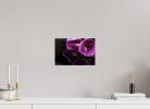 Emulate | Photography by Eric C. Jackson Studio, LLC.
