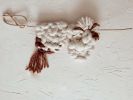 Wood Knot Wall Hangings in Neutrals | Macrame Wall Hanging in Wall Hangings by Seven Sundays Studios. Item composed of wood & wool