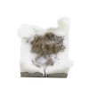 Mountain Ice Cap Candle | Candle Holder in Decorative Objects by Caos Motē