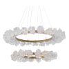 Alan Mizrahi WM2115 Blossom | Chandeliers by Alan Mizrahi Lighting Design