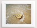 Ocean And Strings | Photography by She Hit Pause. Item made of paper