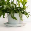Native Oval Planter - Handmade Porcelain Planter | Vases & Vessels by The Bright Angle. Item made of ceramic