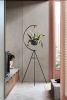 Crescent Plant Stand | Plants & Landscape by Capra Designs