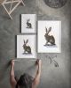 Galloping Hare Watercolour Print, Running Rabbit Wall Art, Equestrian Animal Painting | Prints in Paintings by The Ugly Cat Studio
