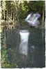 Reflection in pond | Photography by Louise O'Gorman