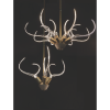 Alan Mizrahi IQ8137 Antler's Horn | Chandeliers by Alan Mizrahi Lighting Design