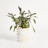 Alfonso Planter | Vases & Vessels by Project 213A. Item composed of ceramic in contemporary style