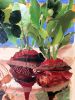 Garden Harvest | Mixed Media in Paintings by Kathy Ferguson Art