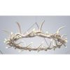 Alan Mizrahi AM1801 Antler Halo Resin | Chandeliers by Alan Mizrahi Lighting Design