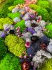 Moss Wall Art Large Wild Flower Wall Sculpture, Preserved | Living Wall in Plants & Landscape by Sarah Montgomery