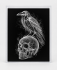 EXPOSED HALLOWEEN — RAVEN ON SKULL | Decorative Objects by Exposedart