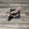 Driftwood Art Sculpture "Stallion" | Sculptures by Sculptured By Nature  By John Walker. Item made of wood works with minimalism style