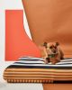 Pepper Dog Bed | Pillow in Pillows by MINNA