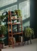 Multipurpose, 5 Tier Book Shelf, Bookshelf Bookcase Storage | Book Case in Storage by Plywood Project. Item made of oak wood compatible with minimalism and mid century modern style