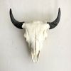 Bison Skull - Natural | Wall Sculpture in Wall Hangings by Farmhaus + Co.. Item made of wood