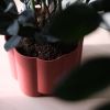Pillar Planter | Vases & Vessels by Misewell