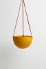 Block Color Dome Hanging Planter | Vases & Vessels by Capra Designs